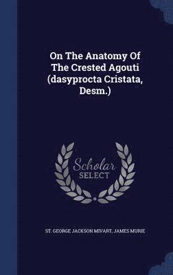 bokomslag On The Anatomy Of The Crested Agouti (dasyprocta Cristata, Desm.)