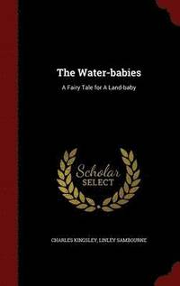 bokomslag The Water-babies