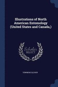 bokomslag Illustrations of North American Entomology (United States and Canada, )