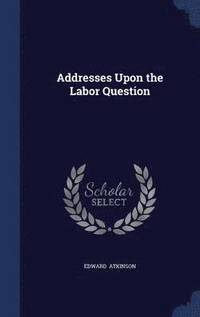 bokomslag Addresses Upon the Labor Question