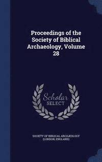 bokomslag Proceedings of the Society of Biblical Archaeology, Volume 28