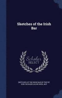 bokomslag Sketches of the Irish Bar