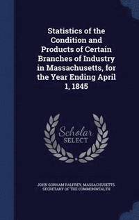 bokomslag Statistics of the Condition and Products of Certain Branches of Industry in Massachusetts, for the Year Ending April 1, 1845
