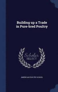 bokomslag Building up a Trade in Pure-bred Poultry