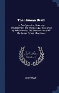 bokomslag The Human Brain