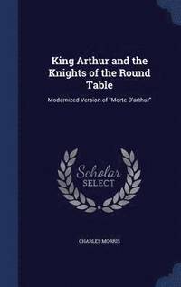 bokomslag King Arthur and the Knights of the Round Table