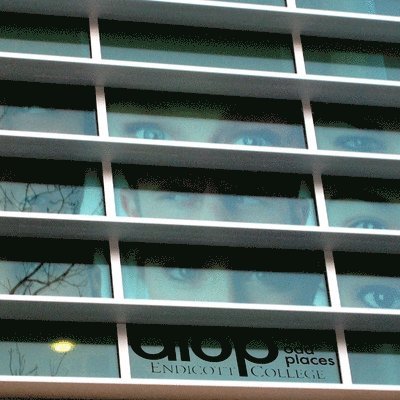 Ed Woodham, Michael Kilburn - Art in Odd Places, Häftad