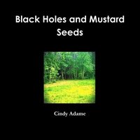 bokomslag Black Holes and Mustard Seeds