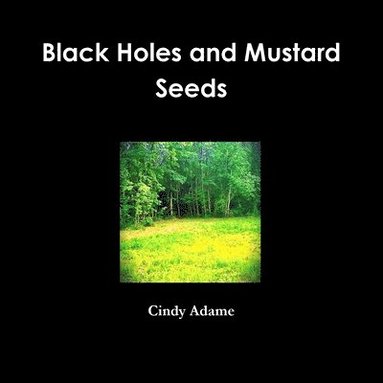 bokomslag Black Holes and Mustard Seeds