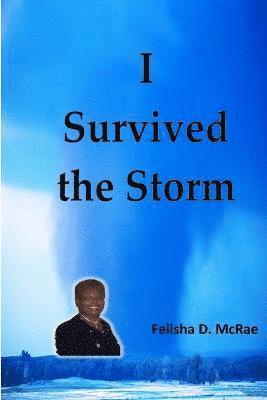 I Survived the Storm 1