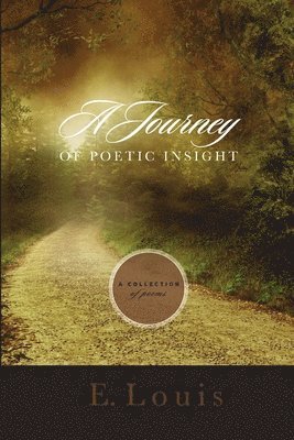 bokomslag Journey of Poetic Insight