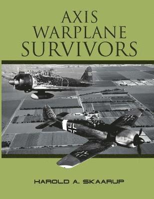 Axis Warplane Survivors 1