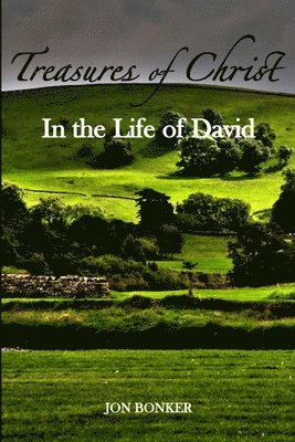 Treasures Of Christ In The Life Of David 1