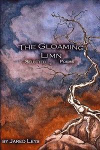 bokomslag The Gloaming Limn