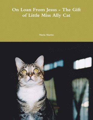 On Loan from Jesus - The Gift of Little Miss Ally Cat 1