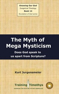 bokomslag Book 14 Mysticism HC