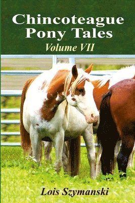 Chincoteague Pony Tales