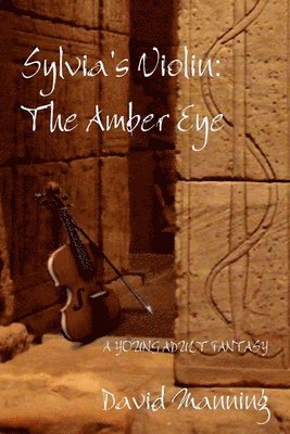 bokomslag Sylvia's Violin: The Amber Eye