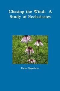 bokomslag Chasing the Wind: A Study of Ecclesiastes