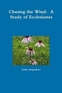 bokomslag Chasing the Wind: A Study of Ecclesiastes