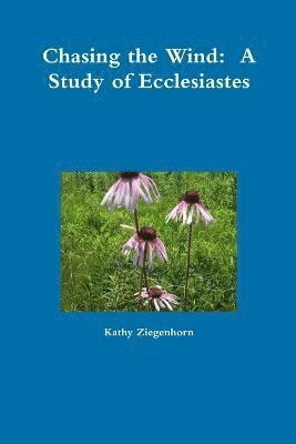 Chasing the Wind: A Study of Ecclesiastes 1