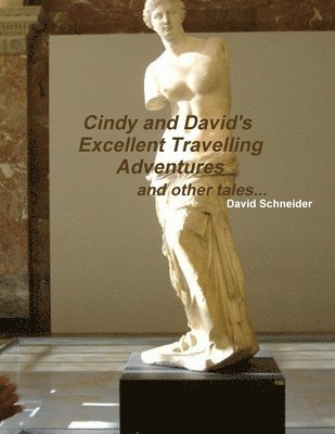 David Schneider - Cindy and David's Excellent Travelling Adventures, Häftad