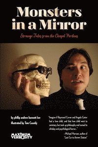 bokomslag Monsters in a Mirror