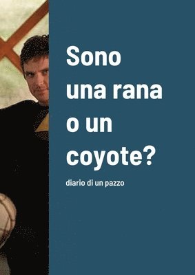 Rachel Corry - Sono una rana o un coyote?, Häftad