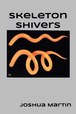 Joshua Martin - skeleton shivers, Häftad