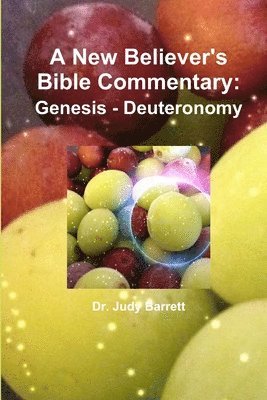 A New Believer's Bible Commentary 1