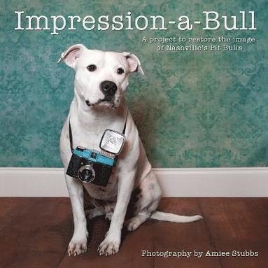 bokomslag Impression-a-Bull