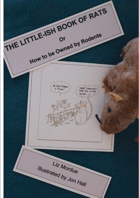 bokomslag The Little-ish Book of Rats