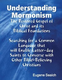bokomslag Understanding Mormonism