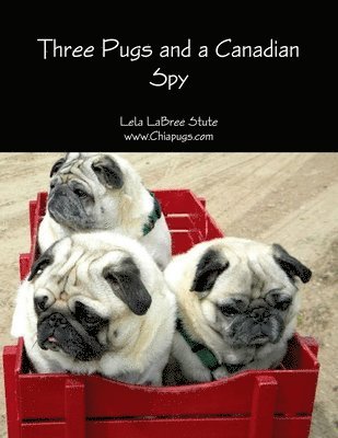 Three Pugs and a Canadian Spy 1