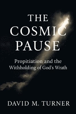 David Turner - Cosmic Pause, Häftad