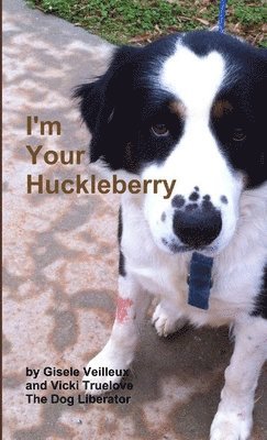 bokomslag I'm Your Huckleberry