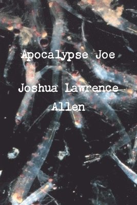 Apocalypse Joe 1