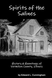 bokomslag Spirits of the Salines