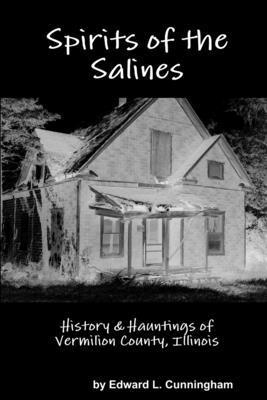 bokomslag Spirits of the Salines