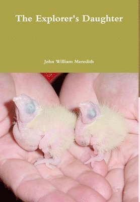 John William Meredith - Explorer's Daughter, Inbunden