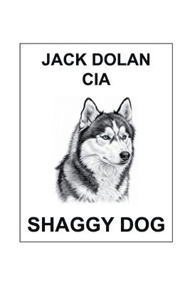 bokomslag Jack Dolan CIA Shaggy Dog