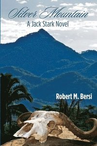 bokomslag Silver Mountain: A Jack Stark Novel