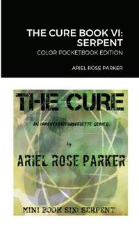 bokomslag The Cure Book VI