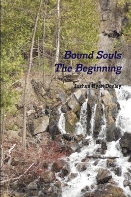 bokomslag Bound Souls The Beginning