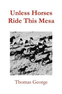 Unless Horses Ride This Mesa 1