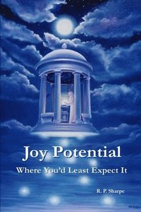 bokomslag Joy Potential; Where You'd Least Expect It