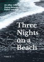 bokomslag Three Nights on a Beach