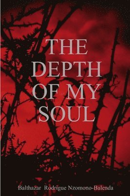bokomslag Depth of My Soul
