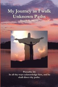bokomslag My Journey as I Walk Unknown Paths