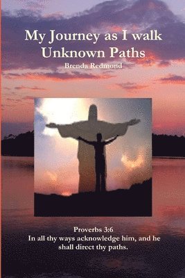 bokomslag My Journey as I Walk Unknown Paths